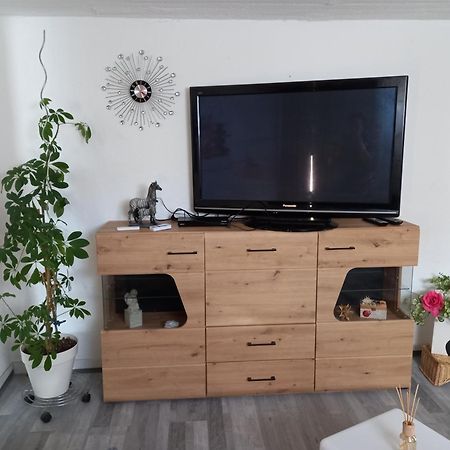 60 M² Ferienapartment Zentrumsnahe Mit Gartenbenutzung Steyr Exterior foto