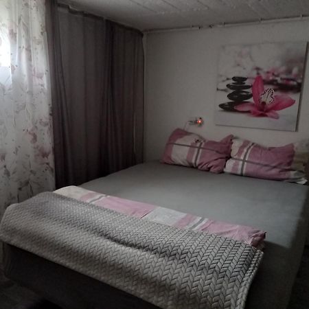 60 M² Ferienapartment Zentrumsnahe Mit Gartenbenutzung Steyr Exterior foto